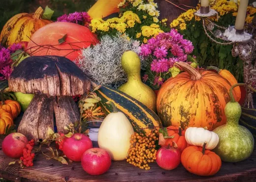 7 Spooky Halloween Treats to Delight Your Guests