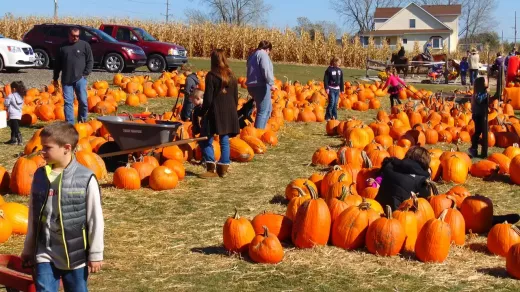 Halloween Crafts: Fun and Creative Activities for All Ages